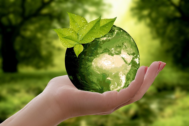 Sustainability Practices