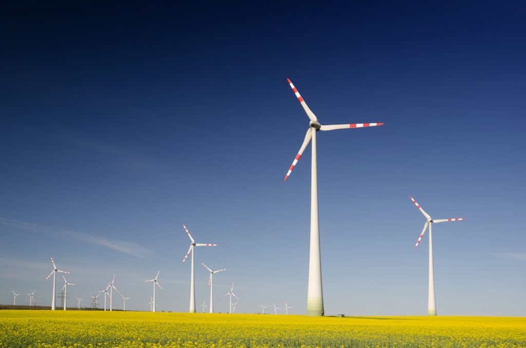 Sustainability Practices